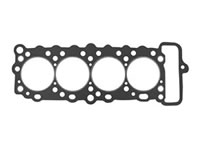 Դ(TC)׵