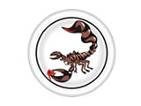 后备胎贴纸